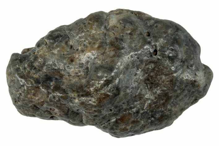 Lunar Meteorite ( g) - Laayoune #281507